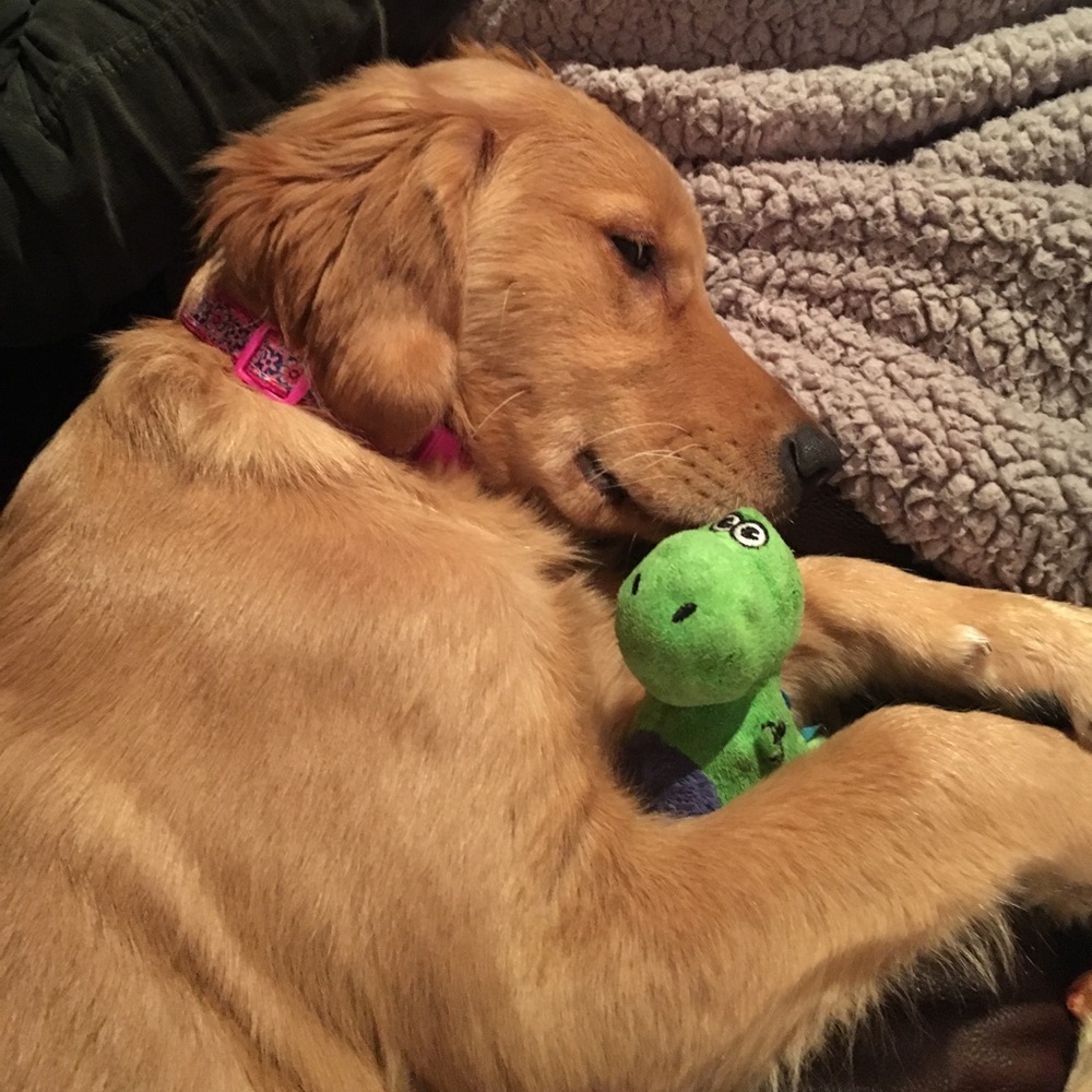 HUGE CLOSET CLEANOUT